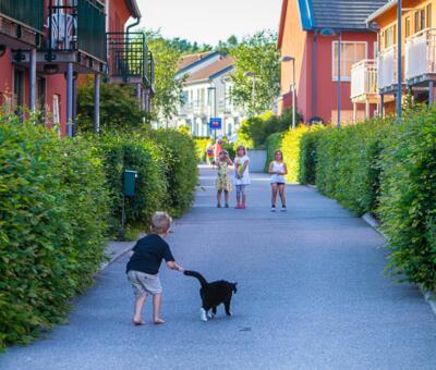 Eine Straße mit Kindern und Hecken