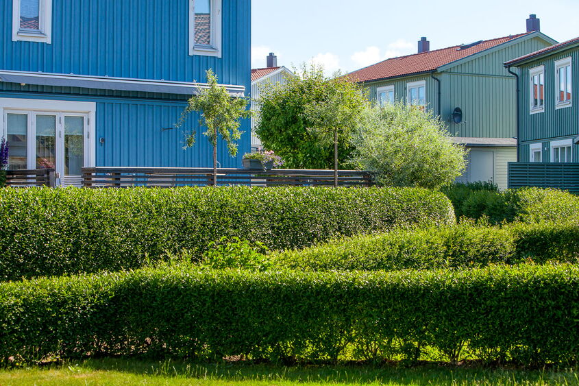 Hacken vor Wohnhäusern in Schweden